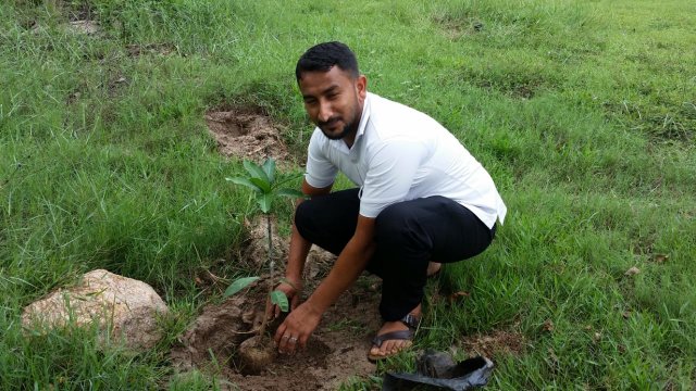 Tree Plantation at GA Bungalow
